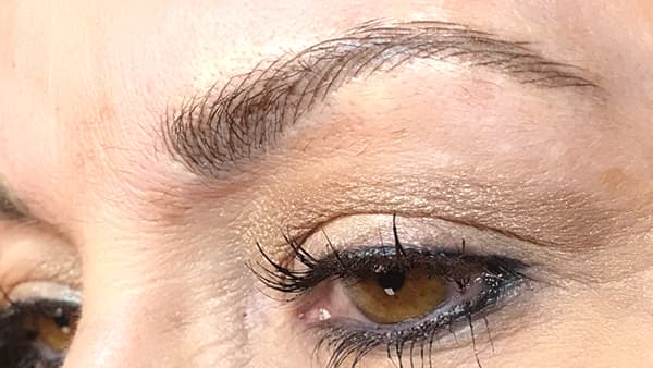 Image of eyebrows after applying eyebrow pencil